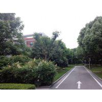 景觀綠地養(yǎng)護(hù)現(xiàn)場(chǎng)照片 景觀綠地養(yǎng)護(hù)現(xiàn)場(chǎng)照片